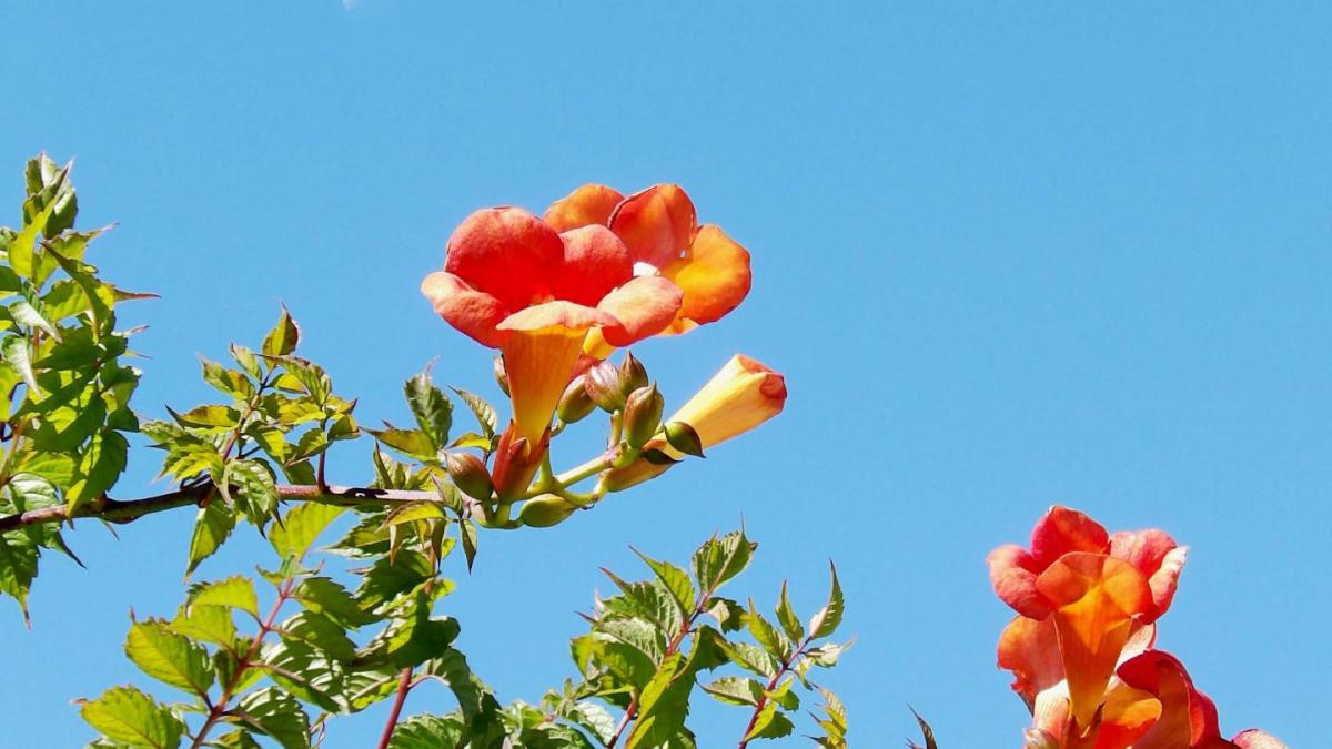 20 000 pages vues sur mon site, 8 250 visiteurs uniques.