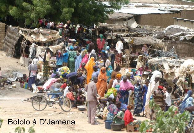 Plussoir et plussoyer font leur apparition dans la presse.