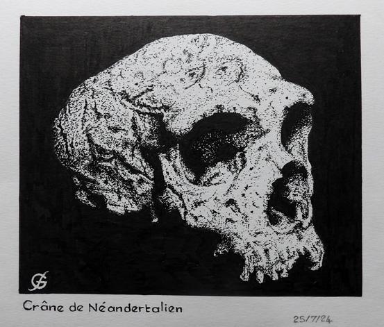 Homme de Dénisova, nouvelle espèce découverte par son ADN