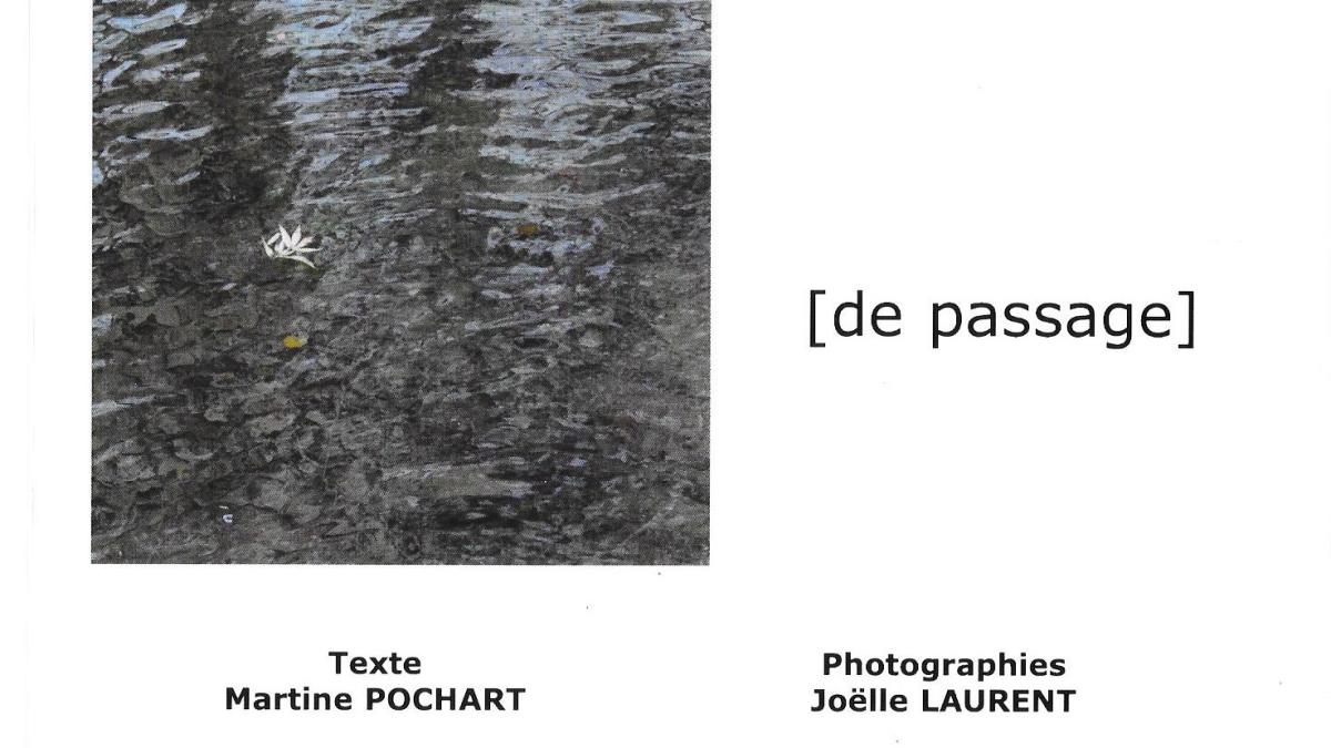 Joli livre de Martine Pochart et Joëlle Laurent [de passage]