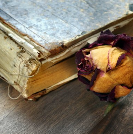 L'entropie humaine croît inexorablement vers le chaos.