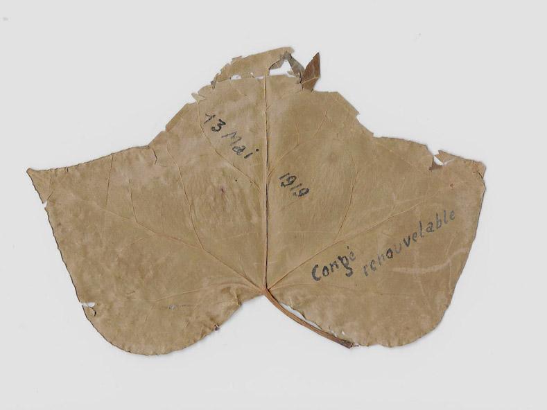 Feuille de vigne datée de 1919 célébrant la fin de la guerre