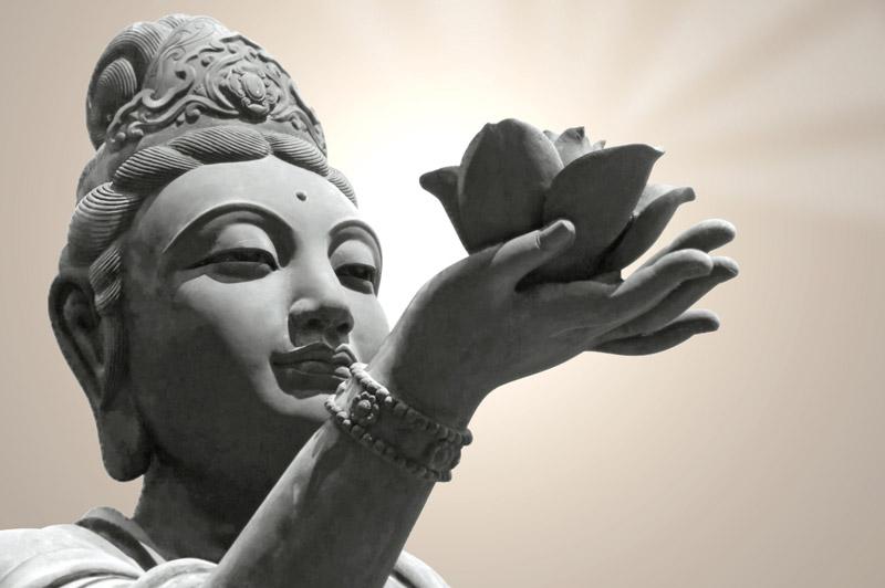 Les Correspondances unissent l'hommes à la nature