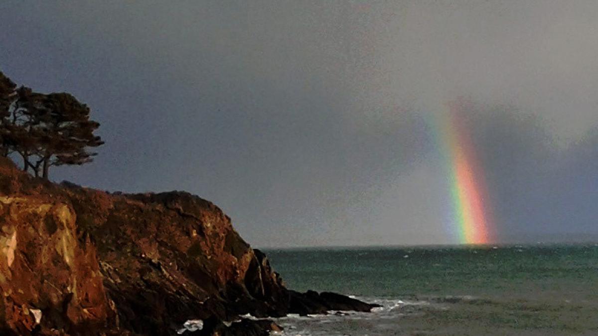 Mots d'enfants, ou comment se réjouir sous la pluie.