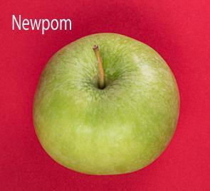 La gravié, notre poids, reste un phénomène innexpliqué