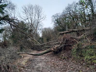 Comment ne pas penser à la guerre devant la cruauté ordinaire